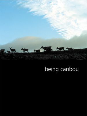 Being Caribou's poster