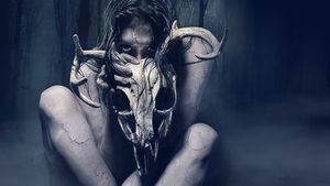 The Wretched's poster