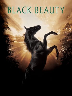 Black Beauty's poster