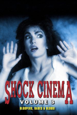 Shock Cinema: Volume Three's poster