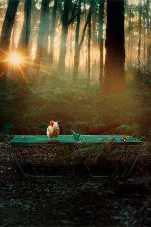 The Rooster's poster