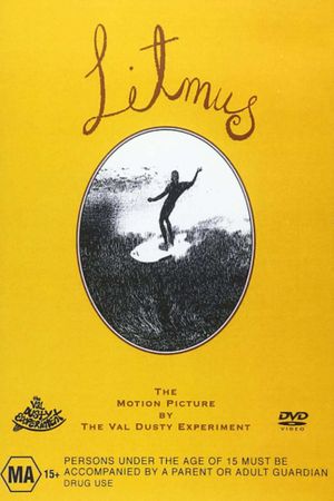 Litmus: A Surfing Odyssey's poster