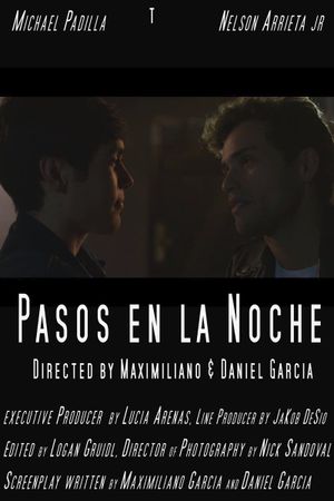 Pasos en la noche's poster