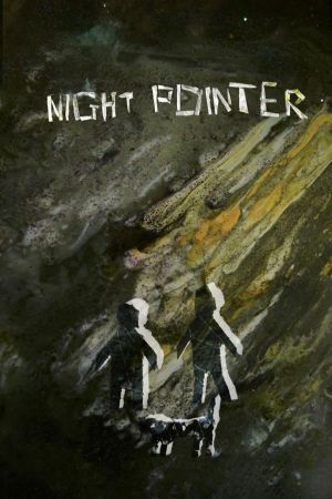 Night Pointer's poster
