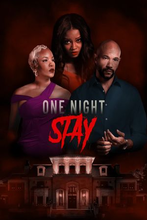 One Night Stay's poster