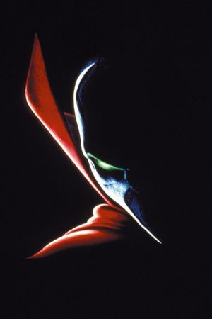 Spawn's poster