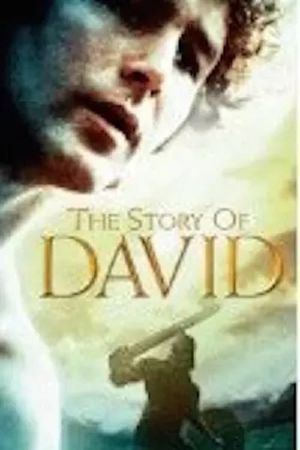 The Story of David's poster