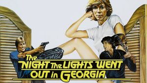The Night the Lights Went Out in Georgia's poster