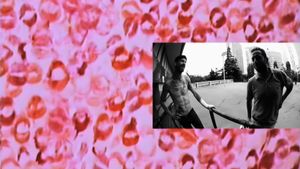"cherry"'s poster