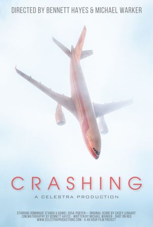 Crashing's poster image