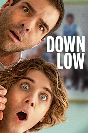 Down Low's poster