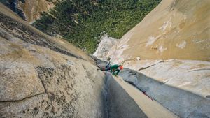 Climbing the Nose's poster