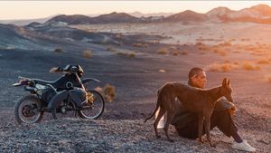 Black Dog's poster