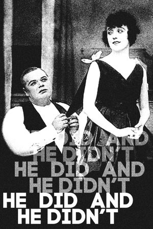 He Did and He Didn’t's poster