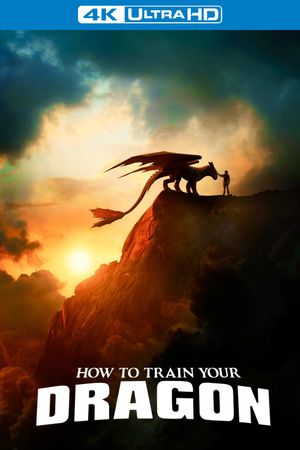 How to Train Your Dragon's poster