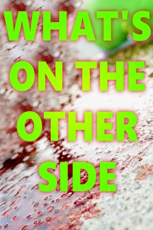 What's On the Other Side's poster