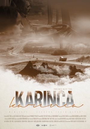 Karinca's poster