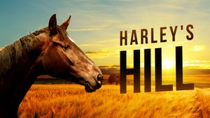 Harley's Hill's poster