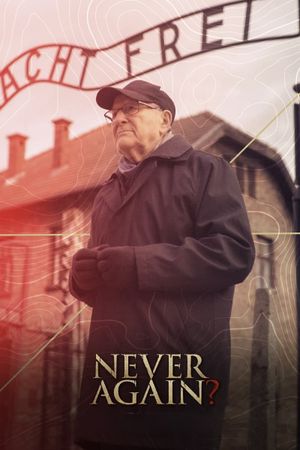 Never Again?'s poster