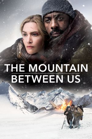 The Mountain Between Us's poster