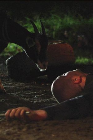 Goatman of Kananaskis's poster image