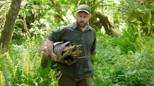 Leave No Trace's poster
