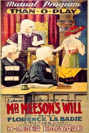 Mr. Meeson's Will's poster