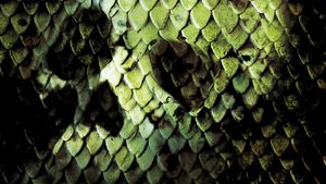 Anacondas: The Hunt for the Blood Orchid's poster