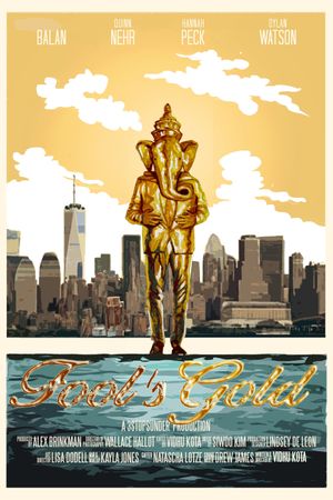 Fool's Gold's poster