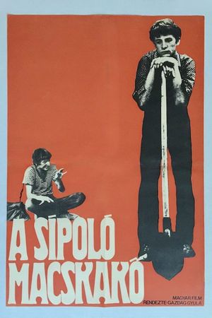 A sípoló macskakö's poster