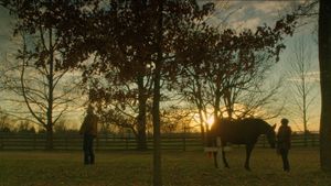 Orphan Horse's poster