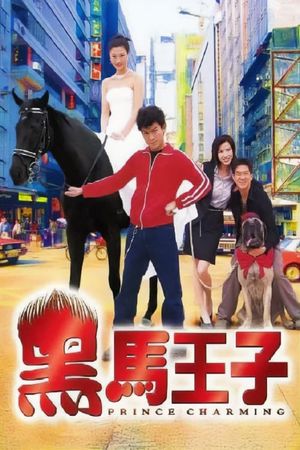 Prince Charming's poster