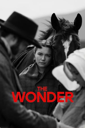 The Wonder's poster