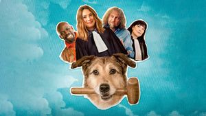 Dog on Trial's poster