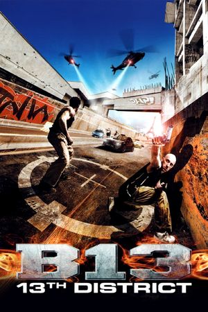 District B13's poster