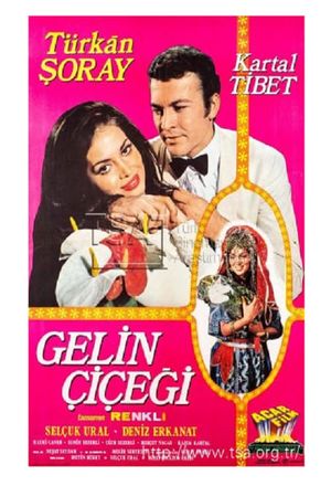Gelin Çiçegi's poster