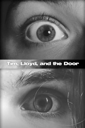 Tim, Lloyd, and the Door's poster