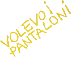Volevo i pantaloni's poster