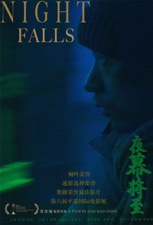 Night Falls's poster