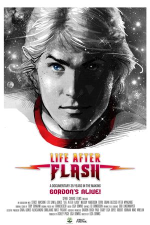 Life After Flash's poster