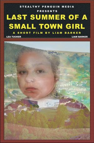 Last Summer Of A Small Town Girl's poster