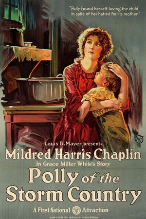 Polly of the Storm Country's poster