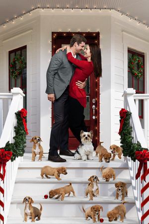 12 Pups of Christmas's poster