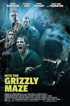 Into the Grizzly Maze's poster