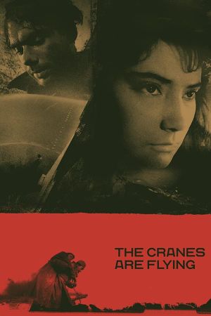 The Cranes Are Flying's poster