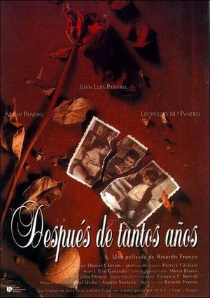 Después de tantos años's poster