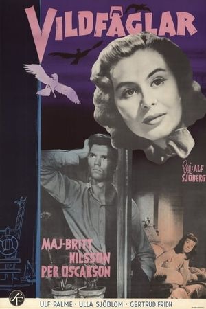 Wild Birds's poster