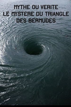 Mythe Ou vérité – Le Mystère Du Triangle Des Bermudes's poster image