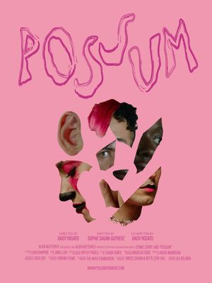 POSSUM's poster