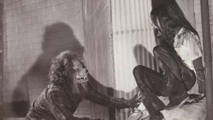 The Werewolf of Woodstock's poster